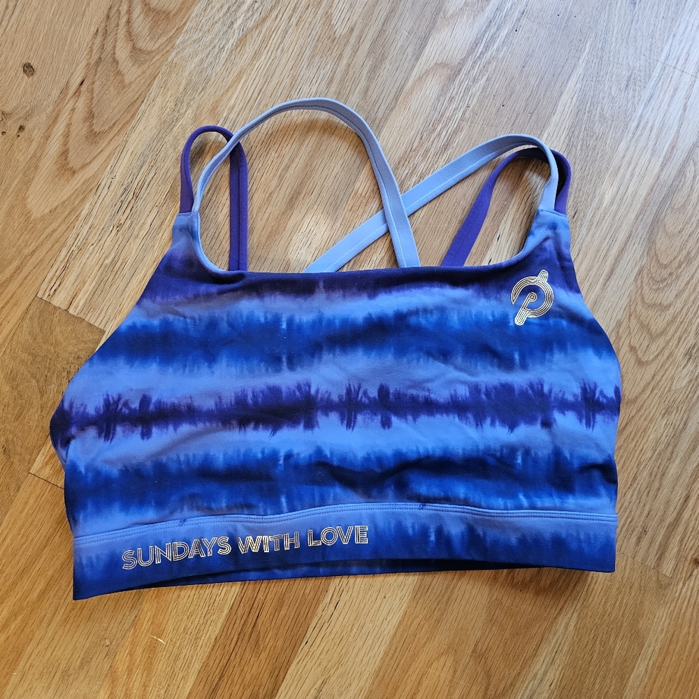 Peloton Purple and Blue Sports Bra